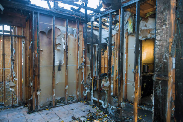 Professional Fire Damage Repair technician working in Edwardsville, IL